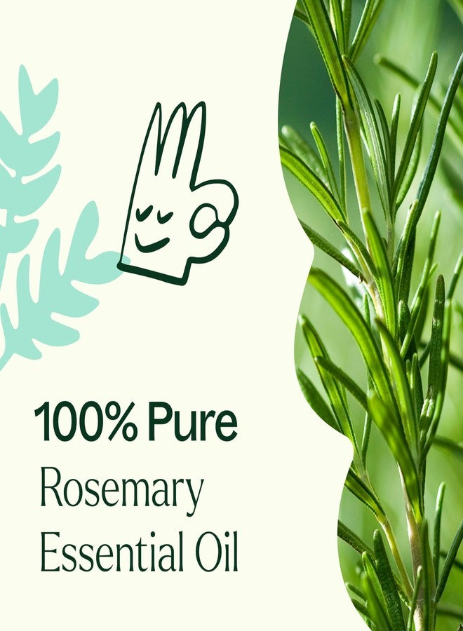 Plant Therapy Rosemary Essential Oil for Hair Growth, 100% Pure, Undiluted, Natural Aromatherapy for Diffuser & Rosemary Oil for Hair & Scalp, Therapeutic Grade 10 mL (1/3 oz) - Image 5